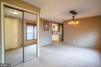 616 Ranck Rd, New Holland, PA 17557 - photo 6