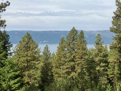 Where Ospreys Fly