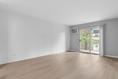 1195 Meadow Ln unit 213, Hoffman Estates, IL 60169 - photo 6