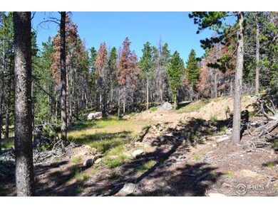 268 Elk Bugle Way, Bellvue, CO 80512 - photo 3