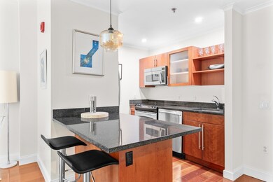 One First Condominiums unit 204, Cambridge, MA 02141 - photo 3