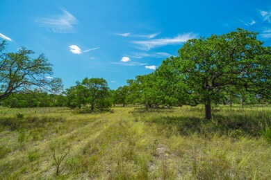 6550 N Us Highway 87, Fredericksburg, TX 78624 - photo 4