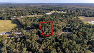 TBD Barnes Rd, Andrews, SC 29510 - photo 7