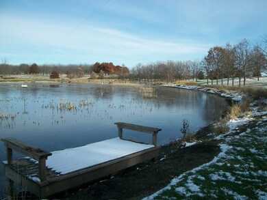 20242 1650 East St, Princeton, IL 61356 - photo 4