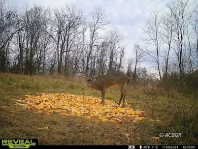 Wildlife