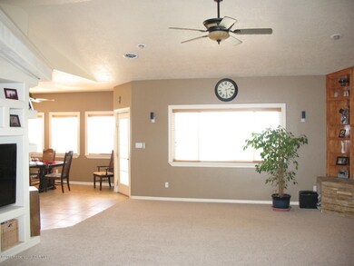 9 Road 3787, Farmington, NM 87401 - photo 7