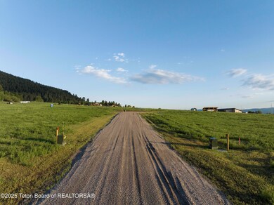 Web - Elk Flats-7