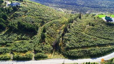 12660 Glen Alps Rd, Anchorage, AK 99516 - photo 3