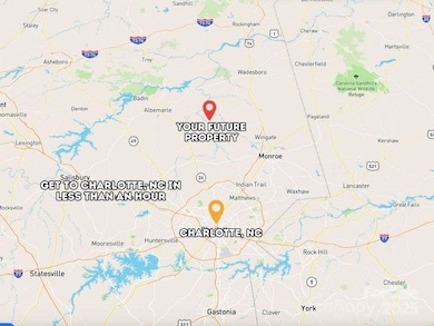 00 Rushing Rd, Stanfield, NC 28163 - photo 4