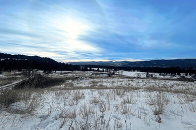 3341 Daisy Mine Rd, Rice, WA 99167 - photo 4