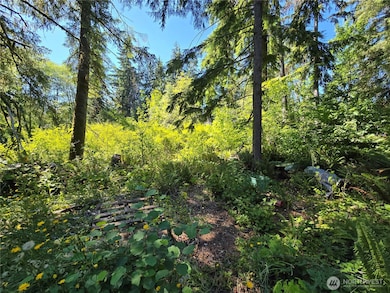 351 W Haven Dr, Matlock, WA 98541 - photo 2