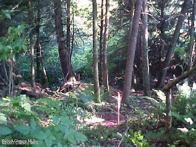 Lots 14&15 Birch St, Cannon Beach, OR 97110 - photo 4