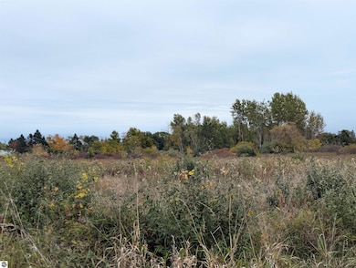 N/A Court St, Au Gres, MI 48703 - photo 2