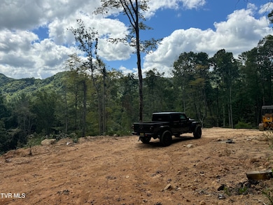 221 Shell Creek Rd, Roan Mountain, TN 37687 - photo 2