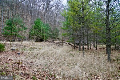 0 Wetzel Hollow unit WVHD105886, Mathias, WV 26812 - photo 4