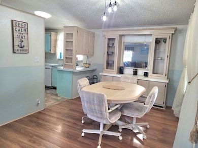 6232 Jessup Dr unit 436, Zephyrhills, FL 33540 - photo 4