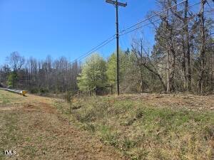 Tbd Carr Store Rd, Cedar Grove, NC 27231 - photo 3