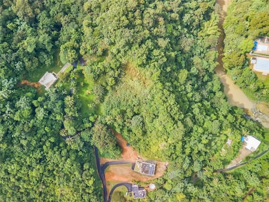 0 Bo Mulas Carr 174 Km Hm 19 6 Int unit SOLAR 1 MFRPR9111511, Aguas Buenas, PR 00703 - photo 4