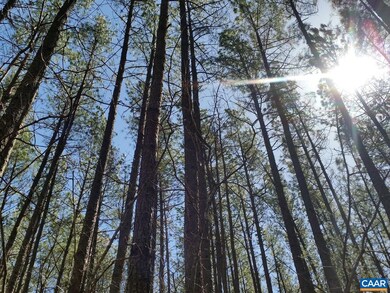 2647 Penny Ln, Charlottesville, VA 22903 - photo 4