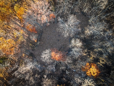 0 Williams Hollow Rd, Crown City, OH 45623 - photo 7