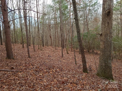 000 Skylark Ln unit 8, Tryon, NC 28782 - photo 7