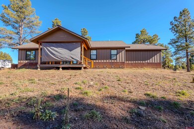 207 Domicile Cir, Pagosa Springs, CO 81147 - photo 5