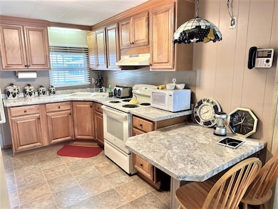 6100 62nd Ave N unit 61, Pinellas Park, FL 33781 - photo 5