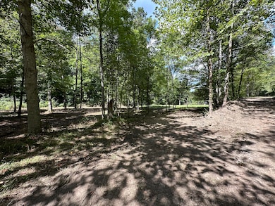 1730 Williams Creek, Rush, KY 41168 - photo 5