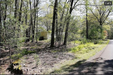 515 Acorn Hill Rd, Olivebridge, NY 12461 - photo 4