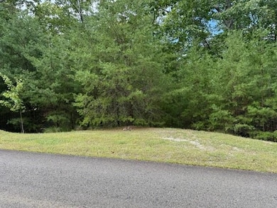 281 Vistaview Pkwy, Jasper, GA 30143 - photo 5