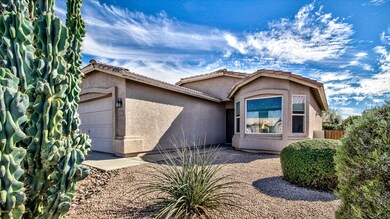 Desert Landscaping