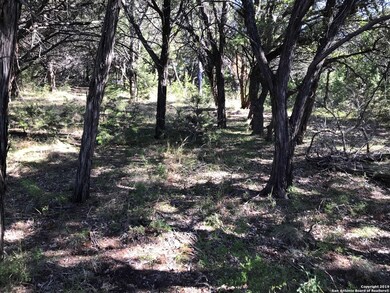 26330 Quail Grove Ln, Fair Oaks, TX 78006 - photo 3