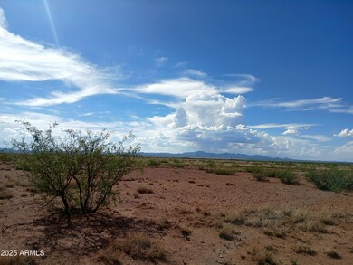 TBD N Ee Ranch Rd unit 1/4, McNeal, AZ 85617 - photo 3