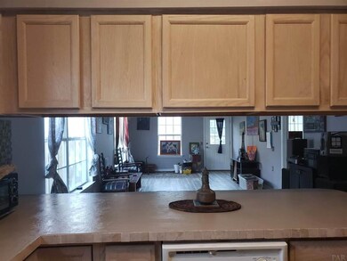 2446 Trailwood Dr, Cantonment, FL 32533 - photo 7