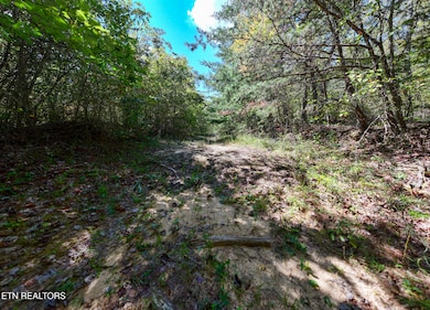 0 Tiffany Ln unit 1316602, Jamestown, TN 38556 - photo 7