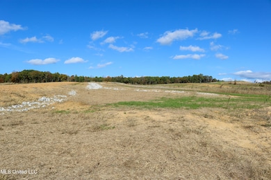 Tract 8 Hugh White State Park Road-3