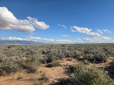 RDO Lot 3 Block 2 unit 51, Los Lunas, NM 87031 - photo 5