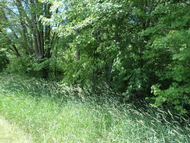 0 Calvin Hill St unit 18027304, Cassopolis, MI 49031 - photo 6