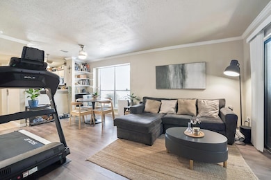 Living room with a textured ceiling, crown moldin