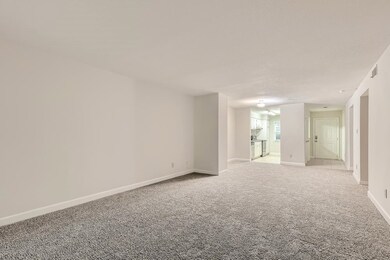 2518 Avent Ferry Rd unit 103, Raleigh, NC 27606 - photo 6