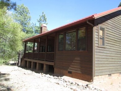 back side view