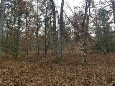 VL Par 11 W 8th St, Baldwin, MI 49304 - photo 4