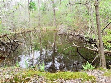 1580 Long Hollow Rd, Somerset, KY 42501 - photo 5