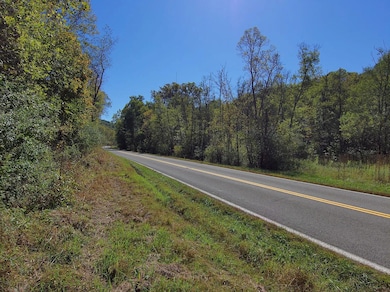 State Route 329, Armadale, OH 45711 - photo 4