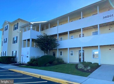 36501 Palm Dr unit 1102, Rehoboth Beach, DE 19971 - photo 2