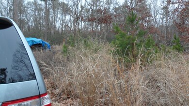 12 Angela Dr, Little Egg Harbor Township, NJ 08087 - photo 2