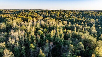 Tract 3 Pallet Mill Rd, Greenville, KY 42345 - photo 6