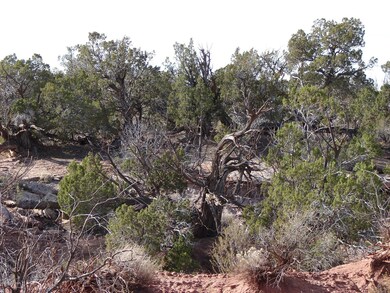 John Fox Property 008