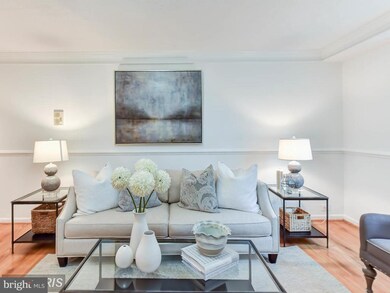 4308 2nd Rd N unit 43083, Arlington, VA 22203 - photo 3