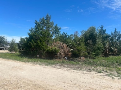 0 Osprey Cir unit 387579, Keaton Beach, FL 32348 - photo 3